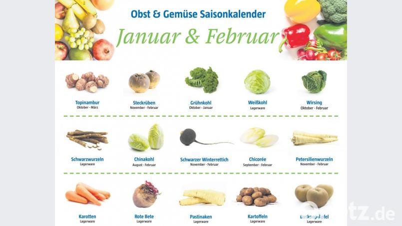 Saisonkalender für die Wintermonate Januar und Februar.. Grafik: Lukas Meister