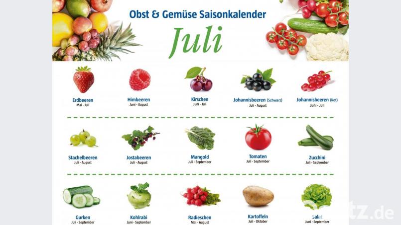 Der Saisonkalender für den Monat Juli. Grafik: Lukas Meister