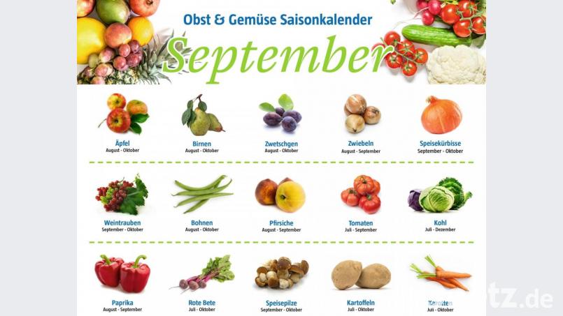 Der Saisonkalender für den Monat September. Grafik: gld