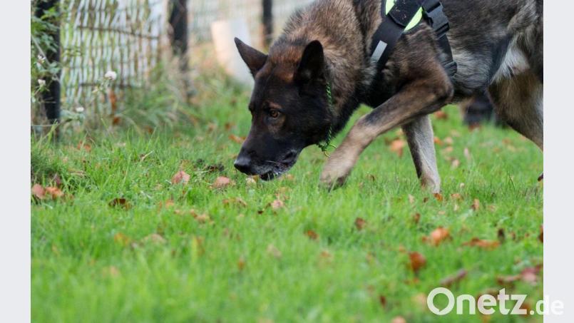 Symbolbild Symbolbild: Marcel Kusch/dpa