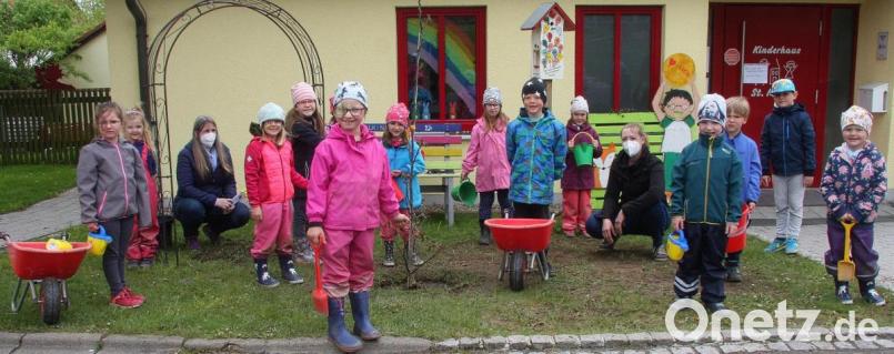 Ein Walnussbäumchen erinnert an die Vorschulkinder, die in wenigen Monaten das Kinderhaus Sankt Marien verlassen. Die Idee kam vom Elternbeirat und der Fuchsmühlerin Maren Wölfl (Fünfte von rechts). Bild: wro