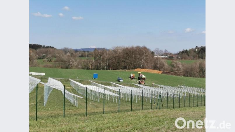 Für bestehende oder genehmigte Solarparks in Oberviechtach kommt das Bürgerbegehren zu spät, das räumt auch Initiatorin Hildegard Bücherl ein. Ihr gehe es um Projekte &quot;in der Warteschleife&quot;. Archivbild: Portner