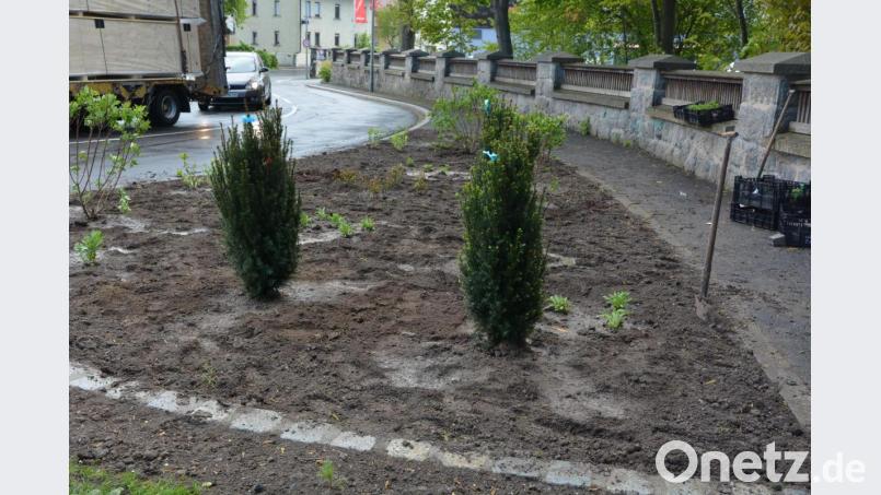 Den ganzen Dienstag dauerte der Arbeitseinsatz bei der Färberbrücke, 420 verschiedene Pflanzen wurden gesetzt. Bild: jr
