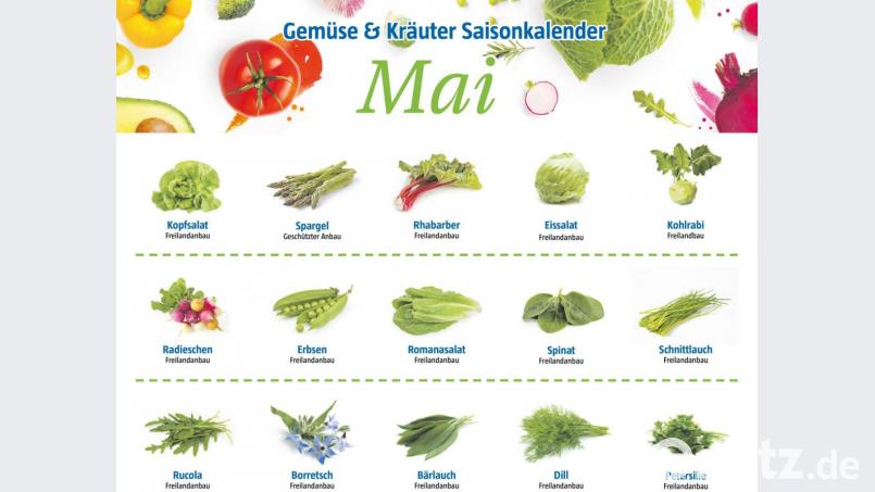 Saisonkalender für den Mai. Grafik: Lukas Meister