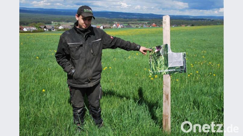 Jungbauer Kilian Hirn mit einem der zerstörten Hinweisschilder. Er kann nicht verstehen, warum hier jemand offensichtlich kein Verständnis für die Anliegen der Landwirte aufbringen kann. Bild: gsp