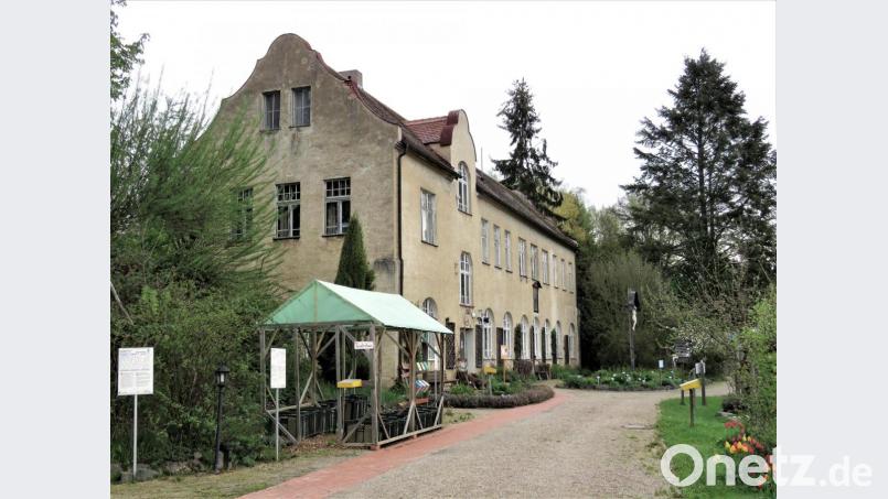 Wenn es auch arg in die Jahre gekommen ist, hat das Gartenschulhaus der Zisterzienserinnenabtei Waldsassen das gewisse Etwas, das dem Gebäude einen Hauch von Romantik und Nostalgie verleiht. Bild: ubb
