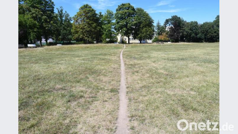 Die Bebauung des Turnerbund-Geländes am Hammerweg ist nur eines von mehreren Großprojekten, das die Stadt in den kommenden Jahren anpackt. Bild: Gabi Schönberger