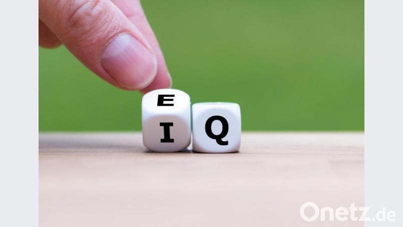 EQ ist wichtiger als IQ - zumindest für das persönliche Glück. Bild: Frank Harms - stock.adobe.com