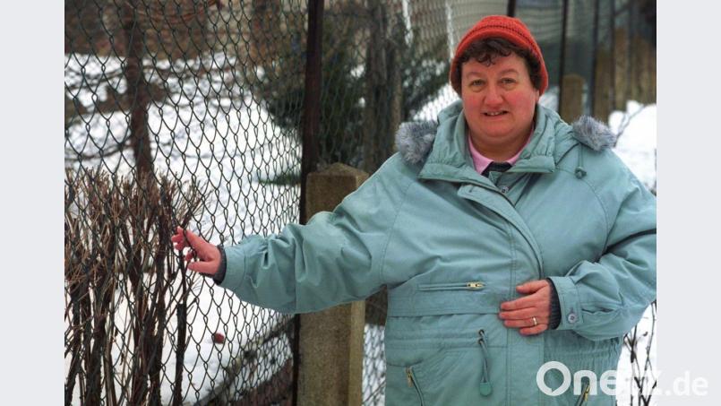 Der vielleicht berühmteste Nachbarschaftsstreit Deutschlands: Regina Zindler, bekannt geworden durch den &quot;Maschendroatzaun&quot;, steht im Jahr 2000 vor dem berühmten Streitobjekt am Knallerbsenstrauch. Symbolbild: Thomas Kretschel/Chemnitzer Morgenpost