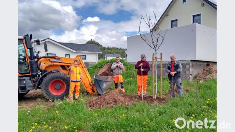 Vier Klimabäume pflanzte der Obst- und Gartenbauverein zusammen mit den Arbeitern vom Bauhof im Rahmen der Aktion „Heimische Bäume für unsere Zukunft“.
Von links: Manuel Kroher, Johannes Dörner, Stefan Simon und André Dietrich. Bild: ow
