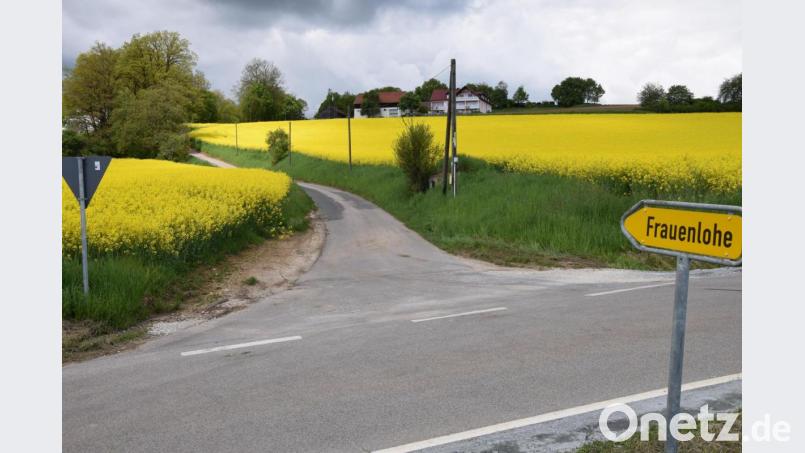 Wer für die Sanierung der Zufahrt zum Weiler Frauenlohe zuständig ist, muss erst noch geklärt werden. Denn der Weg hinauf zu dem Ort ist nicht nicht identisch mit dem Wegeverzeichnis der Gemeinde Ebermannsdorf. Bild: bö