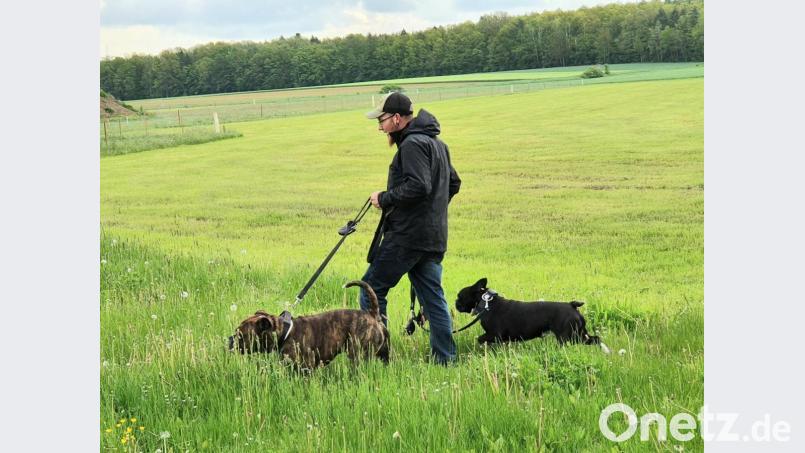 Vorbildlich: Die Hunde sind angeleint. Und die gefüllten Tütchen an der Leine zeigen, dass auch die Hinterlassenschaften der Tiere nicht in der Wiese liegen blieben. Bild: Josef Wieder