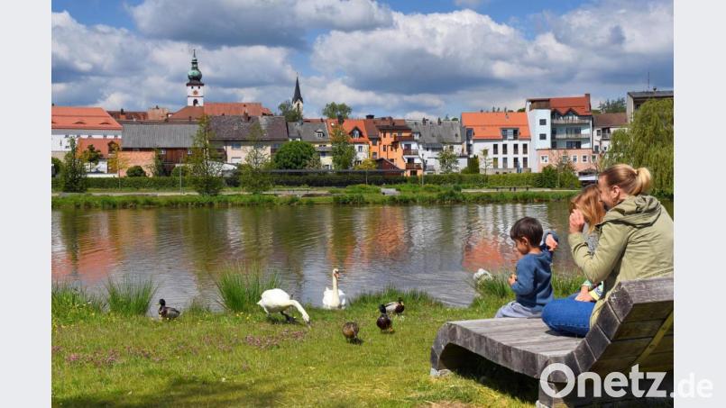 In der Kreisstadt lässt es sich gut leben, dennoch verzeichnet auch Tirschenreuth einen Rückgang der Bevölkerung. Bild: tsp