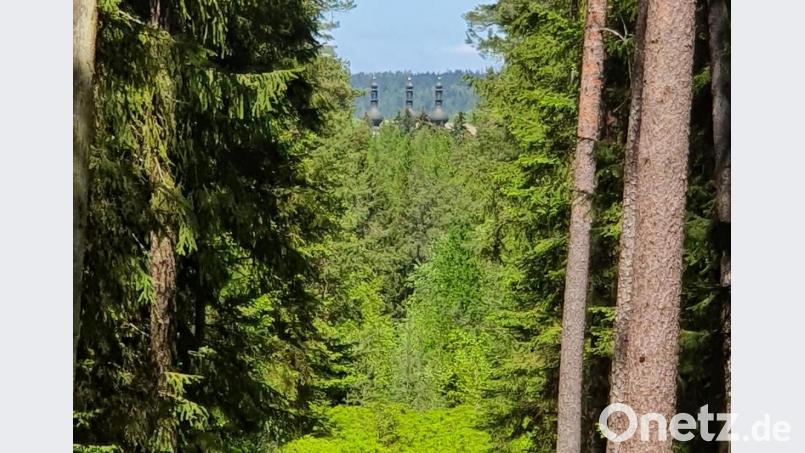 Blick zur Dreifaltigkeitskirche Kappl vom sogenannten Schneller, dem 628 Meter hohen Gipfel des Glasbergs bei Waldsassen. Bild: hmr