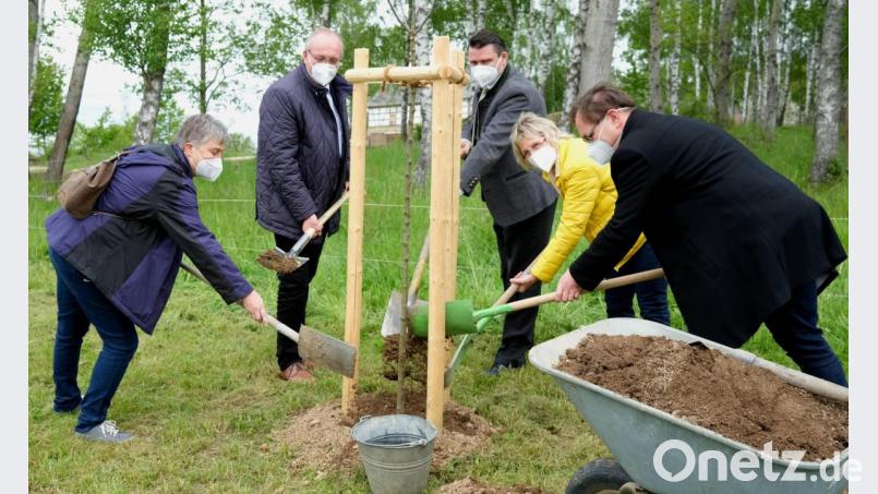 Petra Schmid, Franz Löffler, Thomas Ebeling, Irene Ehemann und Tobias Hammerl (von links) pflanzten auf dem Museumsgelände einen Maunzenapfelbaum. Bild: Hirsch
