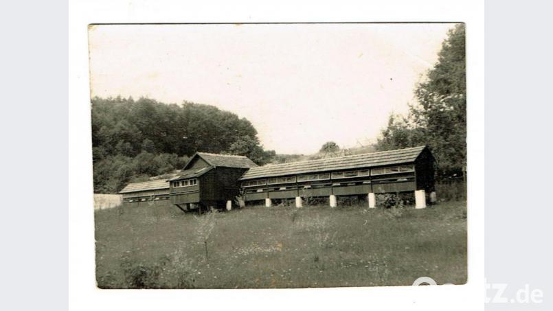 Das stattliche Bienenhaus von Heinrich Gebhard im Jahre 1961: Es stand in der Nähe des Königsteiner Sportplatzes und bot Platz für 30 bis 35 Bienenvölker. Als gelernter Schreiner fertigte er das Bienenhaus mithilfe seines Vaters und seines Neffen an. Den Honig verkaufte seine Frau Frieda in ihrem Lebensmittelgeschäft (Neukramer). Auch Großhändler waren seine Abnehmer. Repro: wku