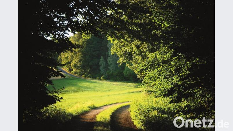Die Oberpfalz ist reich an landschaftlichen Reizen. Bei der neuen Sommerreihe „Genussvoll wandern“ im Dekanat Weiden sind alle Interessierten eingeladen, auf Entdeckungstour zu gehen und sich dabei Gutes für die Seele zu tun. Bild: ils