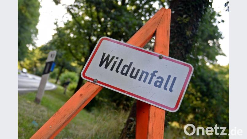 Ein Schild weist auf einen Wildunfall hin. Symbolbild: Susann Prautsch/dpa