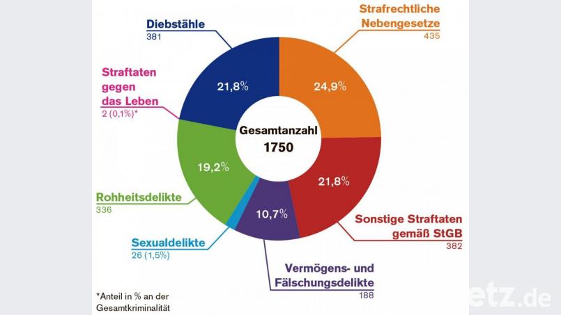 Die Grafik zeigt die einzelnen Deliktgruppen in der Kriminalstatistik 2020 für die Stadt Schwandorf. Grafik: Lukas Meister/Quelle: Polizeiinspektion Schwandorf