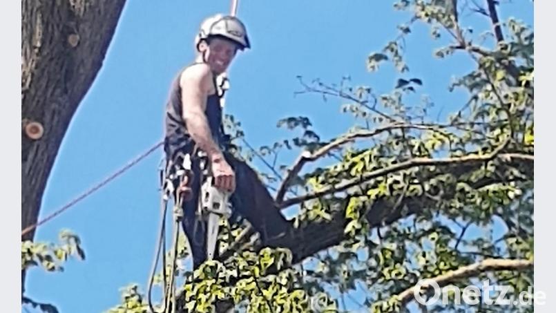 Dem Baumkletterer macht es sichtlich Spaß, sich auf einen Ast zu stellen und ihn als Schaukel zu benutzen. Bild: ld