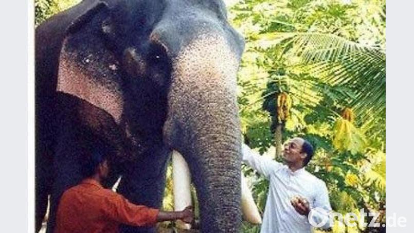 Mit Dickhäutern umzugehen ist für Pater Renny einfacher, als mit der Corona-Pandemie fertig zu werden Repro: do