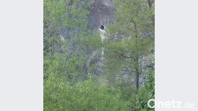 Die kleine Höhle in der Steilwand des Schelcherfelsens dient Wanderfalken derzeit als Brutplatz. Bild: Gertrud Burger/exb