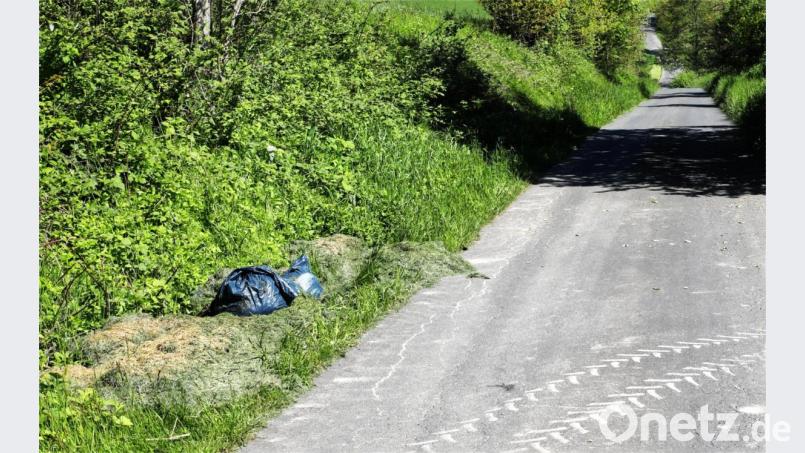 Wie hier auf dem Bild in Richtung Sauweiher werden immer wieder wilde Müllablagerungen festgestellt. Bild: njn