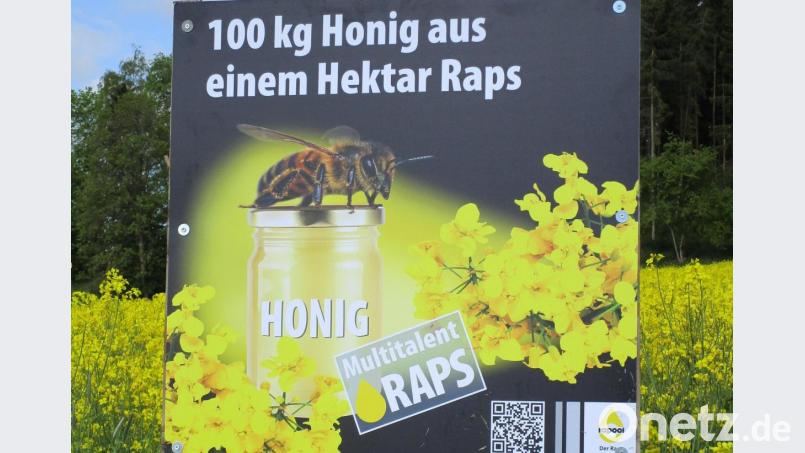 Nicht nur die Imker, sondern besonders auch die Landwirte profitieren vom Bienenflug in die Rapsfelder. Darauf weißt ein Landwirt auf einem großen Schild in der Nähe der Abzweigung zum Kühstein hin. Bild: njn