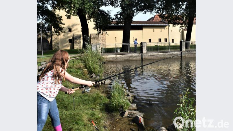 Der Fischereiverein Grafenwöhr muss das Fischerfest für heuer wieder absagen. Aber es gibt eine Alternative. Archivbild: rgr