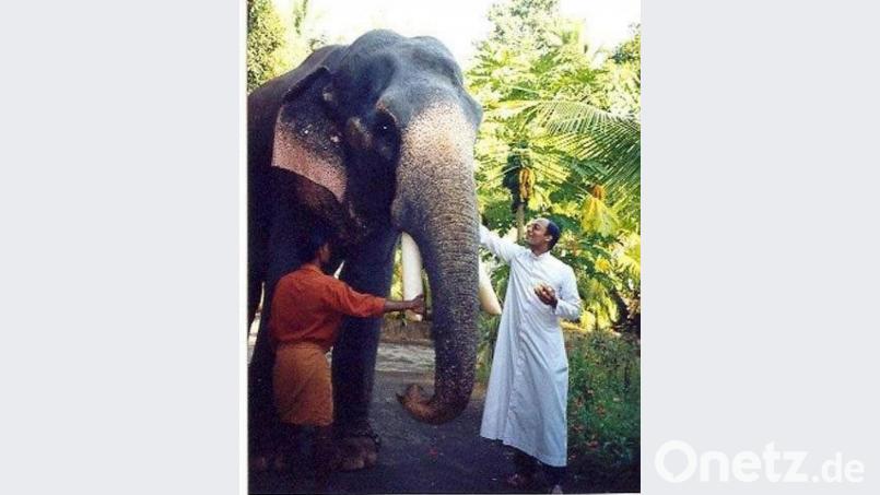 Mit Dickhäutern umzugehen ist für Pater Renny einfacher, als mit der Corona-Pandemie fertig zu werden. Bild: Archiv do