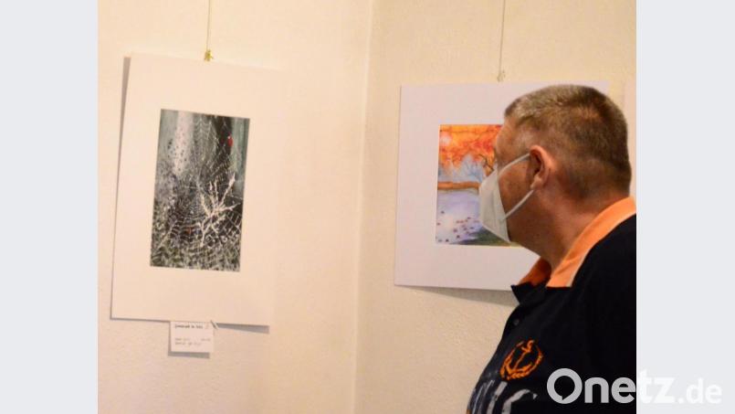 Der Betrachter soll sich in den Bildern versinken. Bild: Kunz