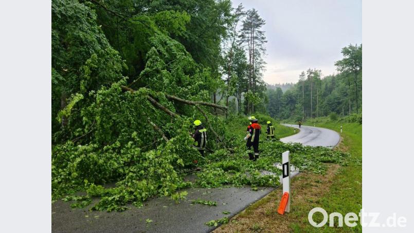 Ein Baum stürzte auf die Straße, die von Sunzendorf nach Högen im Landkreis Amberg-Sulzbach führt. Bild: Feuerwehr Sunzendorf