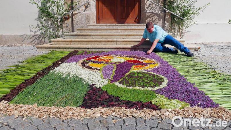 Die letzten Feinheiten an seinem prachtvollen Blumenteppich zum Fronleichnamsfest erledigte Mesner Tobias Megies (Bild) kurz vor dem Gottesdienst. Fast vier Stunden benötigte er in diesem Jahr für sein Kunstwerk. Bild: bsc