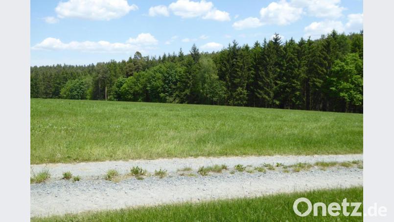 Die Grundstücke vom Weg Richtung Nordosten bis hin zum Wald sollten für ein Sondergebiet Photovoltaik in Frage kommen. Bild: fsb