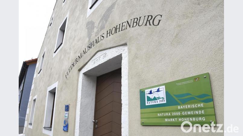 Bundesumweltministerin Svenja Schulze zeichnete Corona-bedingt etwas verspätet das Fledermaushaus Hohenburg und das Life+-Projekt „Große Hufeisennase in der Oberpfalz gemeinsam als Projekt der UN-Dekade Biologische Vielfalt aus. Archivbild: Petra Hartl