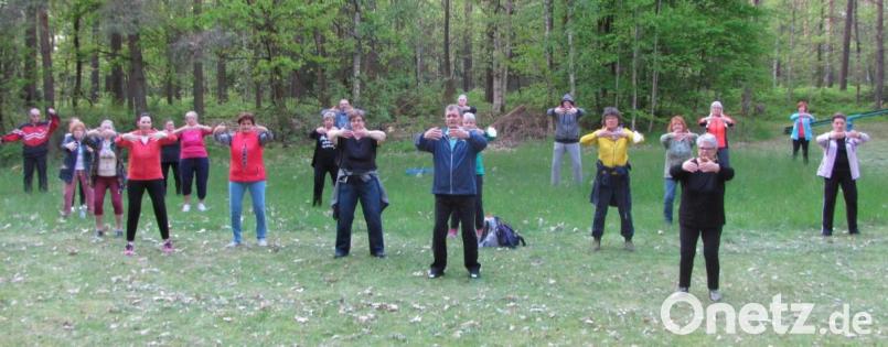 Üben für die Gesundheit und die Natur genießen: Norbert Wellein (vorne) freute sich über das Interesse an seiner offenen Qigong-Gruppe im Waldforum bei Rupprechtsreuth. Bild: sei
