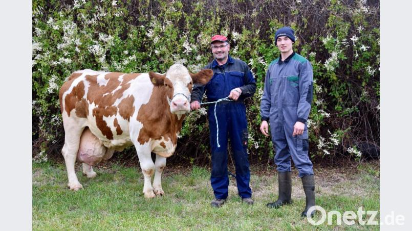 Vier Betriebe hatten Kühe mit einer Milchleistung von 100 000 Litern im Stall. Bild: Rudolf Traxinger /exb