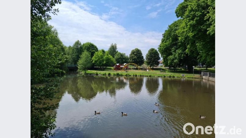 Der Grafenwöhrer Stadtweiher ist auch ohne Springbrunnen eine Augenweide. Und doch fehlt etwas ohne das Wasserspiel. Nun soll es erneuert werden. Bild: sne