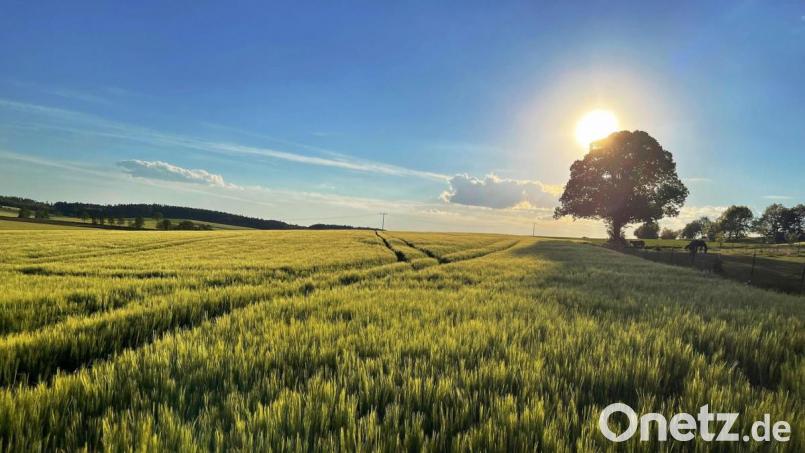 Sommer, Sonne, Feld, Felder, Sonnenuntergang, Bild: anm