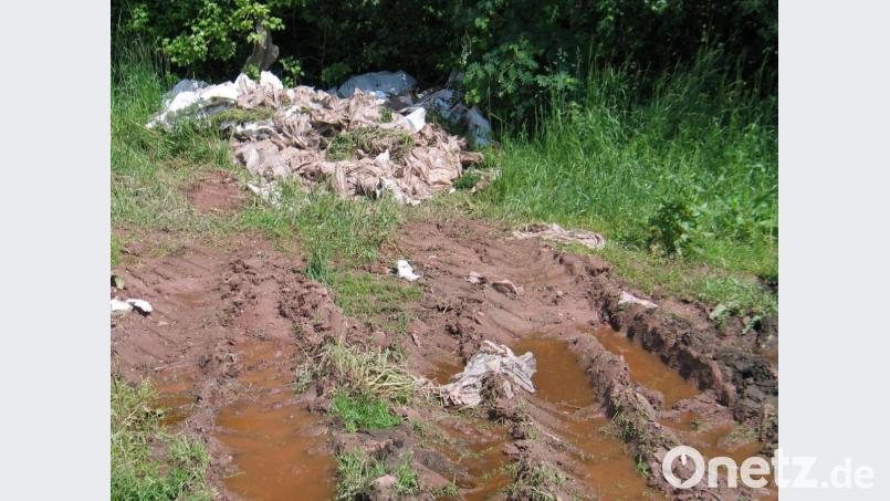 Silofolien liegen schon seit längerer Zeit bei Lenau. Im April lagen sie am Rande eines Ackers, inzwischen wurden sie auf die andere Seite in eine Hecke verlagert. Bild: bkr