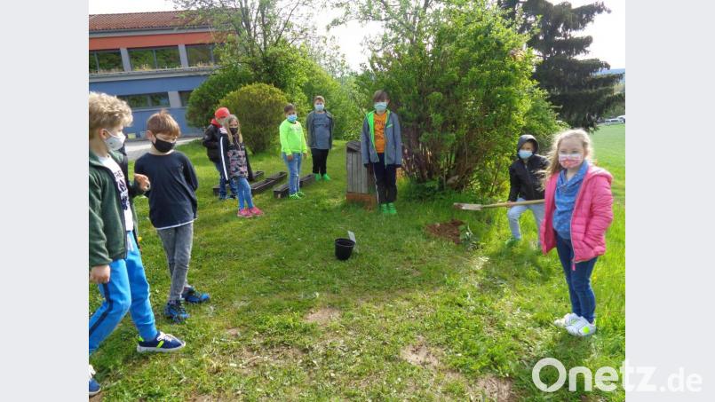 Jede Klasse an der Winklarner Grundschule darf einen Sommerflieder pflanzen Bild: amö