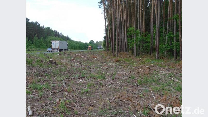 Die Vorbereitungen für den Bau des Radwegs wären schon getroffen. Aber die nötigen Mittel sind nicht verfügbar. Bild: Houschka