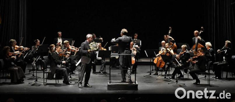 Das Württembergische Kammerorchester Heilbronn mit dem Hornisten Stefan Dohr gastierte im Stadttheater Amberg. Bild: Petra Hartl