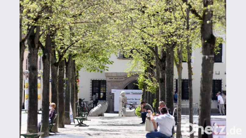 Der Baumhain am Unteren Markt soll unter Umständen von der Gastronomie am Unteren Markt mitbenutzt werden. Bild: Gabi Schönberger