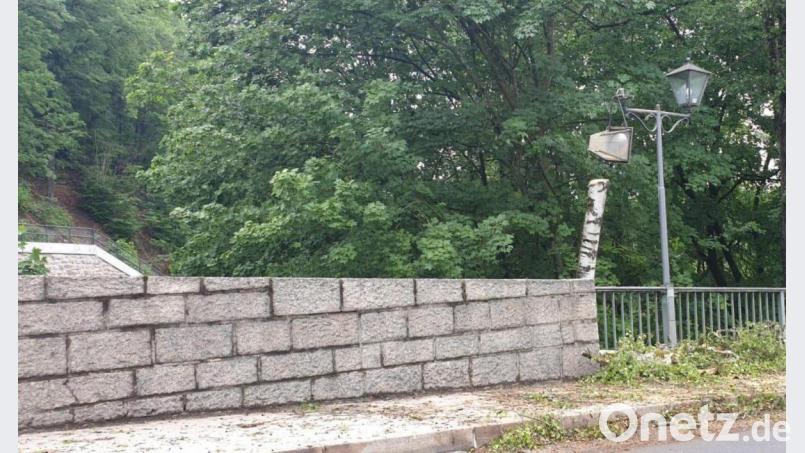 Der Gewittersturm knickt auf der Brücke an der Ortseinfahrt bei Neustadt/WN eine Birke. Dabei wird eine Straßenlaterne beschädigt. Bild: msh