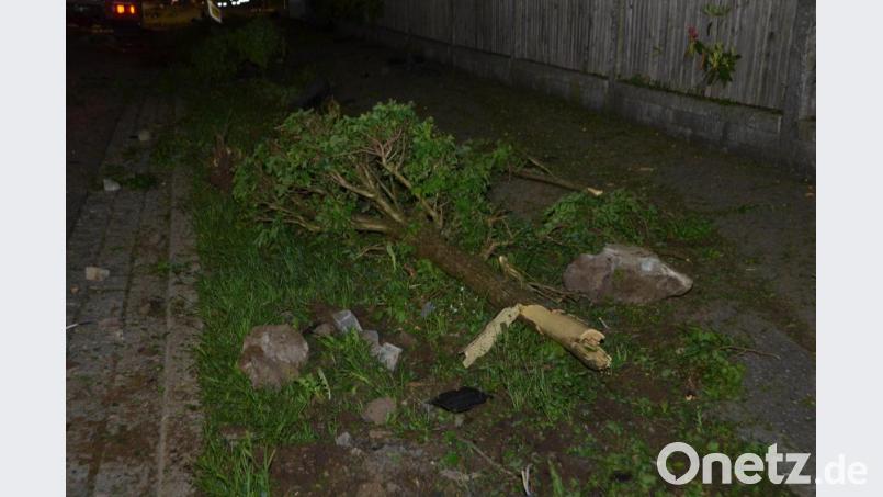 Überall lagen umgefahrene Bäume auf der Straße. Bild: dob