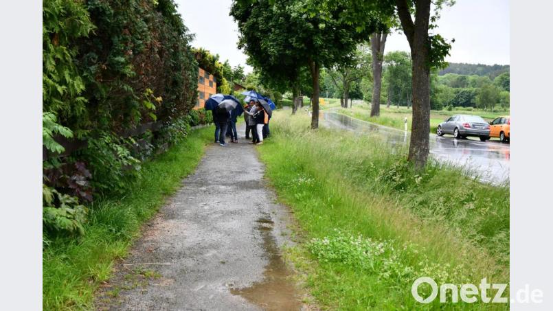 Der Bauausschuss registrierte die Pfützen auf dem Gehweg nach Nefling. Nun soll Abhilfe geschaffen werden. Bild: pko