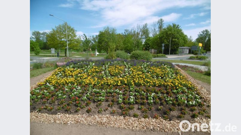 Auf die nachgewiesene Erstnennung Hahnbachs vor 900 Jahren verweist der Blumenschmuck am Hahnbacher Kreisel an der Vilsbrücke. Bild: mma