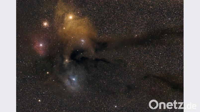 "Antares &amp; Rho Ophiuchi direkt neben dem galaktischen Zentrum unserer Milchstraße": Martin Sponsel hat dieses Bild vom Sternenhimmel über dem Hirschwald gemacht. Bild: Martin Sponsel/exb