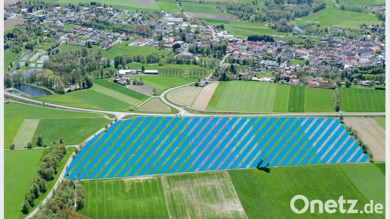 Auf der schraffierten, 12 Hektar großen Fläche war das Dämmplattenwerk in Bärnau geplant. Noch vor dem Bürgerentscheid nahm die Ziegler-Group davon Abstand. Große Gewerbeansiedlungen wie diese sind derzeit stark in der Diskussion. Bild: mür